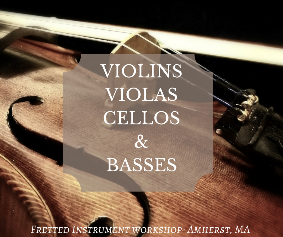 The best selection of violins, violas, cellos and basses in Massachusetts at Fretted Instrument Workshop (Amherst)